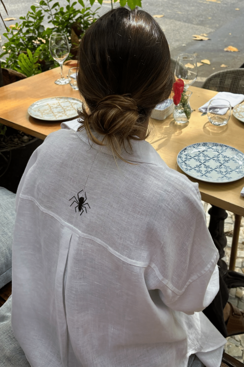 Camisa de Linho Bordada Aranha