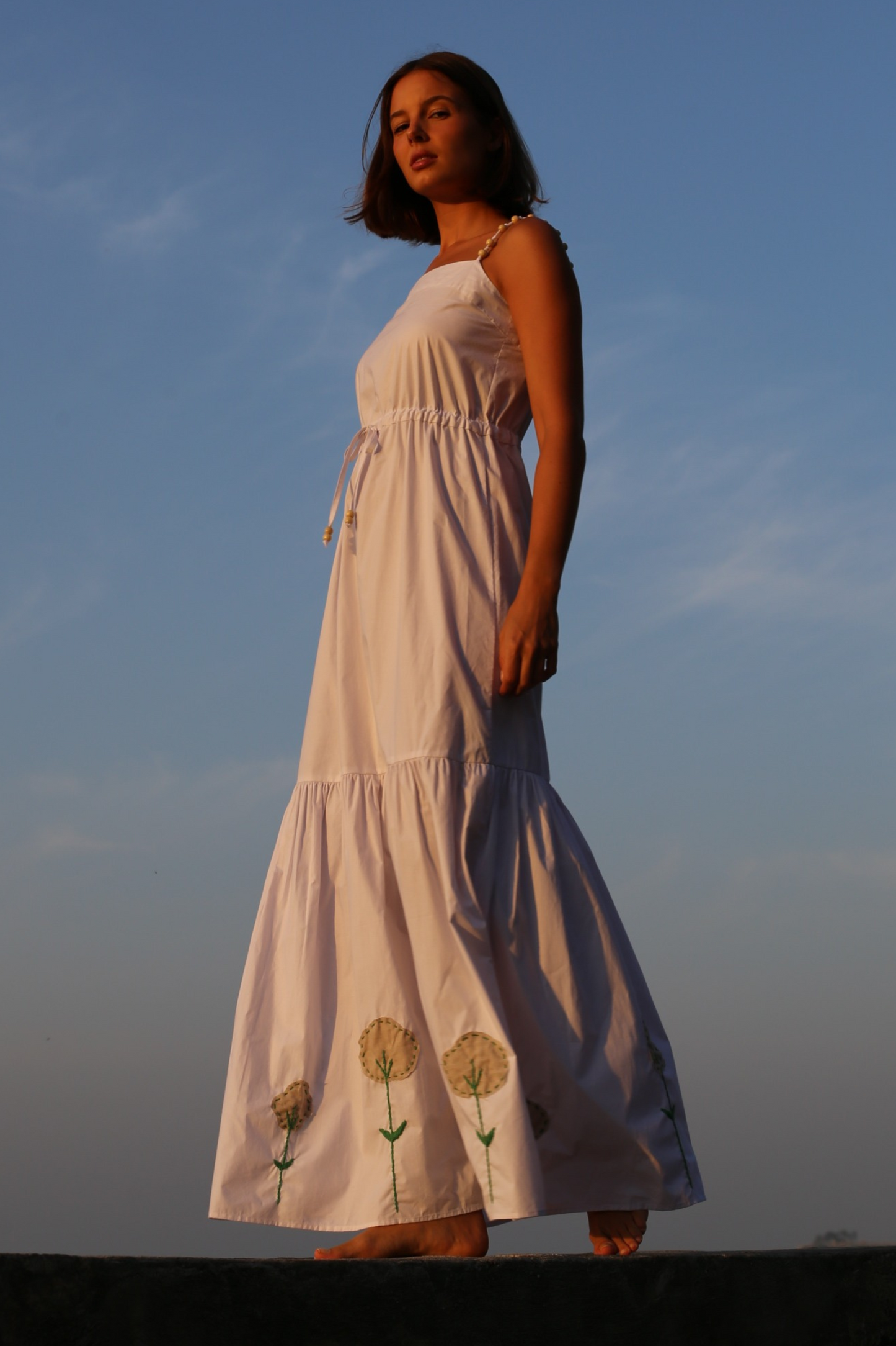 Alva Embroidered Cotton Dress